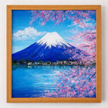 Mount Fuji